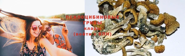 не бодяженный Зерноград