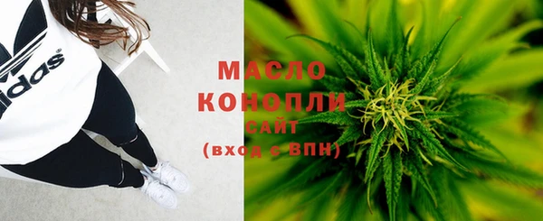 мет Инсар