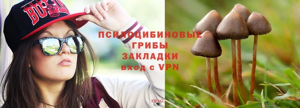 не бодяженный Зерноград