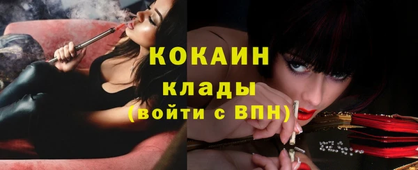 мет Инсар
