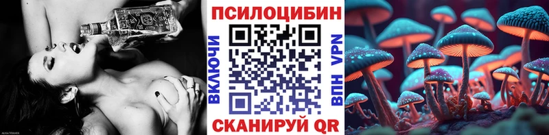 Галлюциногенные грибы Psilocybine cubensis  Купить  Козьмодемьянск 